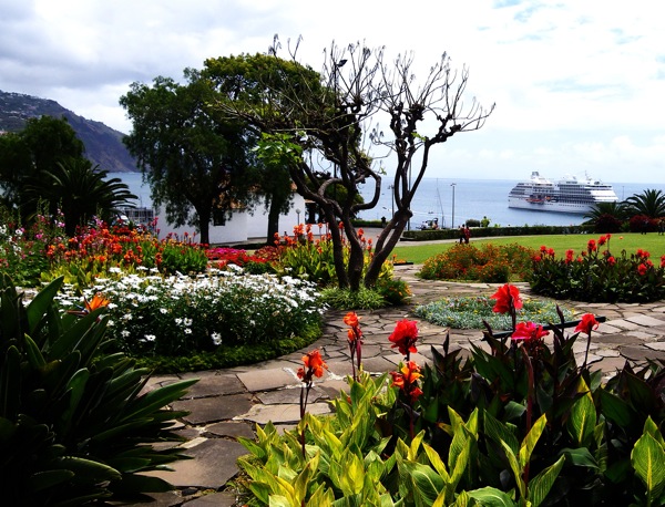 Port Postcard: Portugal Flowers in Bloom