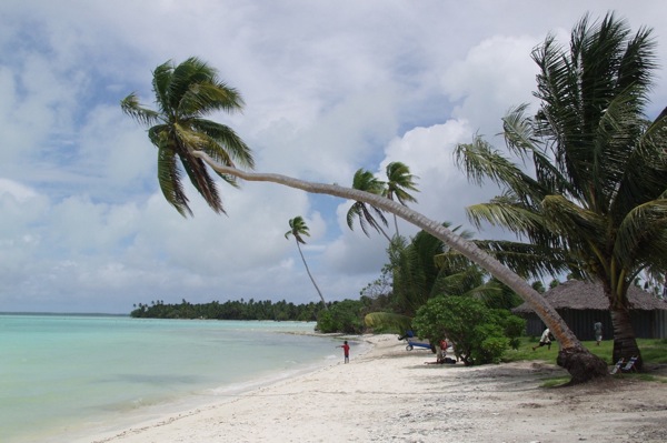 American Safari Cruises eyes Hawaii